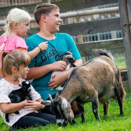 Drei Kinder, zwei Mädchen und ein Junge, stehen mit Ziegen auf dem Rasen. Zwei halten Ziegen und der Dritte steht mit einer Ziege.