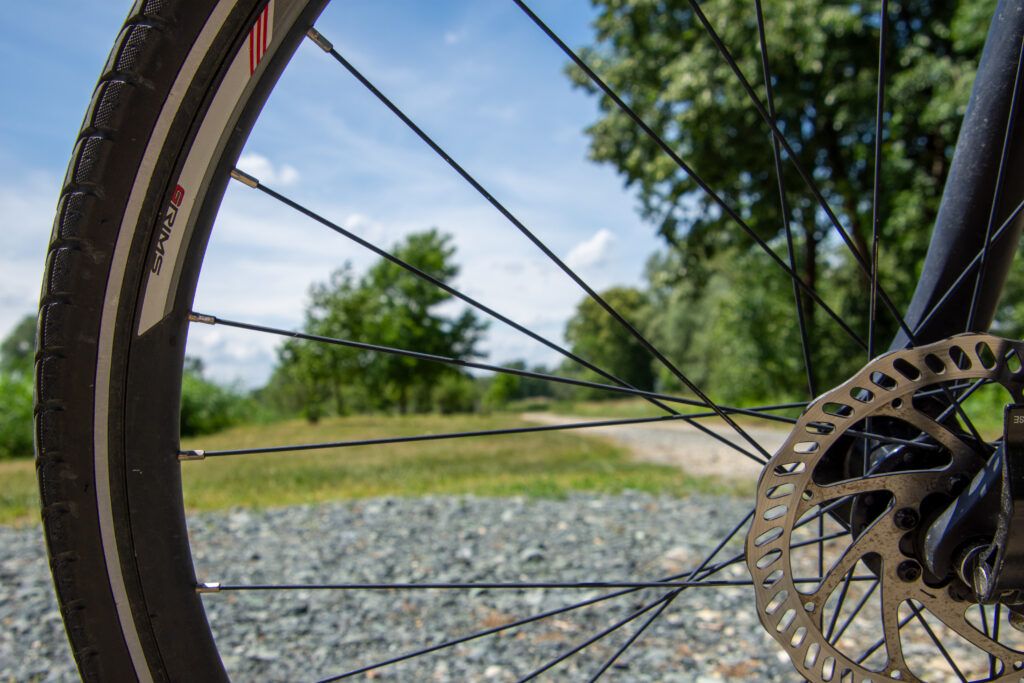 Nahaufnahme eines Fahrradrads mit Speichen und Scheibenbremse, vor einem Kiesweg und Bäumen im Hintergrund.