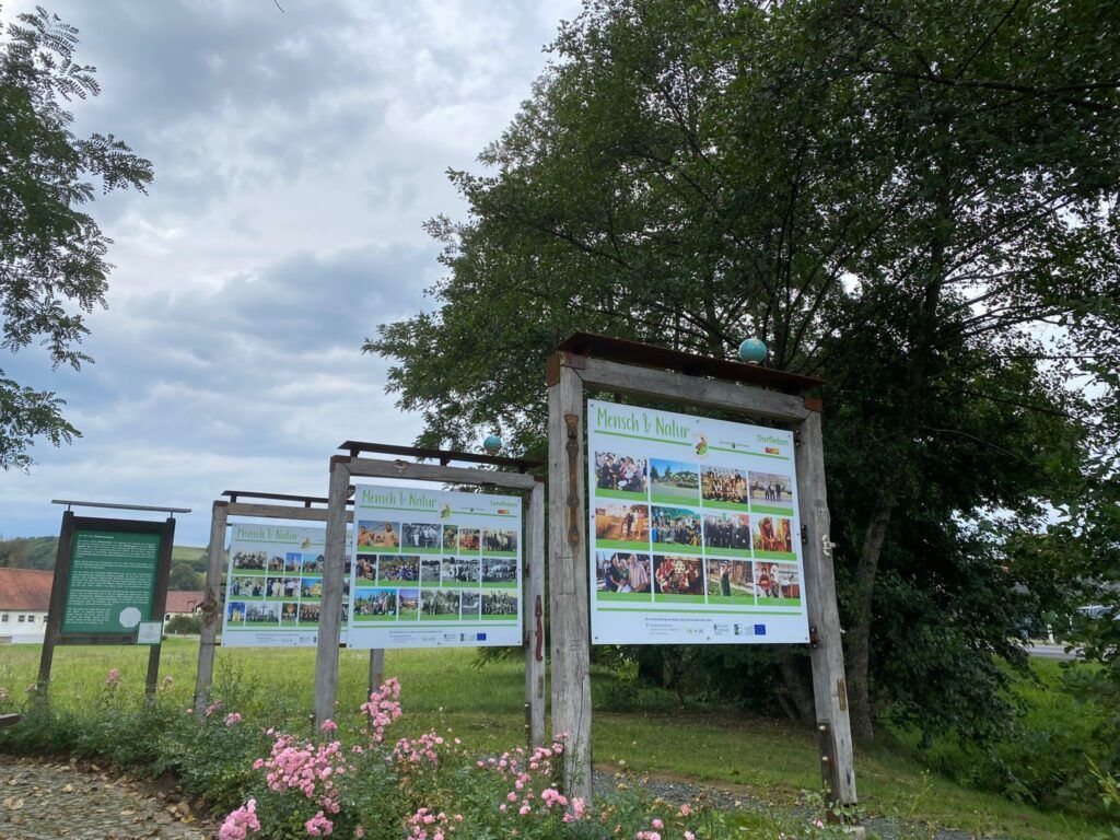 Drei Tafeln mit Bildern und Text stehen auf einem grünen Feld mit rosa Blumen. Bäume umgeben das Gebiet.