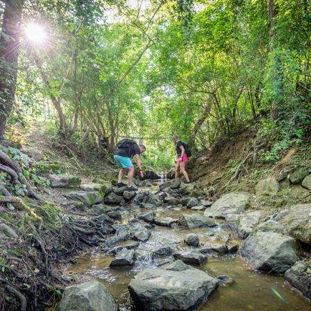 Zwei Personen wandern einen felsigen Pfad in einem Wald, umgeben von Bäumen und moosbedeckten Felsen.