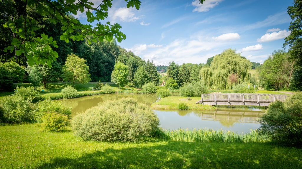 Ein ruhiger Park mit einem kleinen Teich, üppigem Grün und einer Holzbrücke an einem sonnigen Tag.