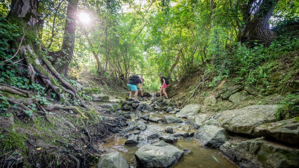 Zwei Personen wandern einen felsigen Pfad in einem Wald, umgeben von Bäumen und moosbedeckten Felsen.