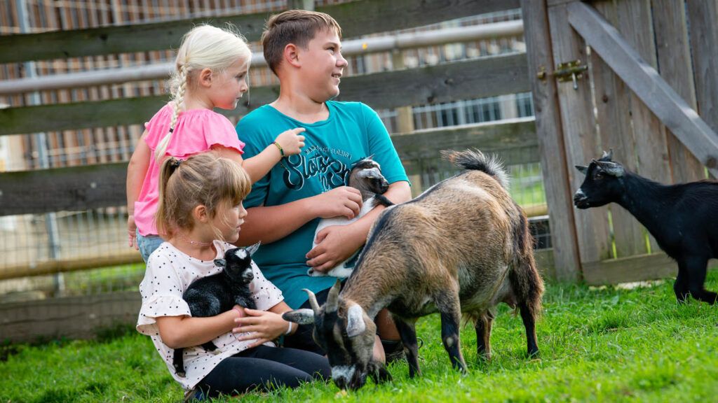 Drei Kinder, zwei Mädchen und ein Junge, stehen mit Ziegen auf dem Rasen. Zwei halten Ziegen und der Dritte steht mit einer Ziege.
