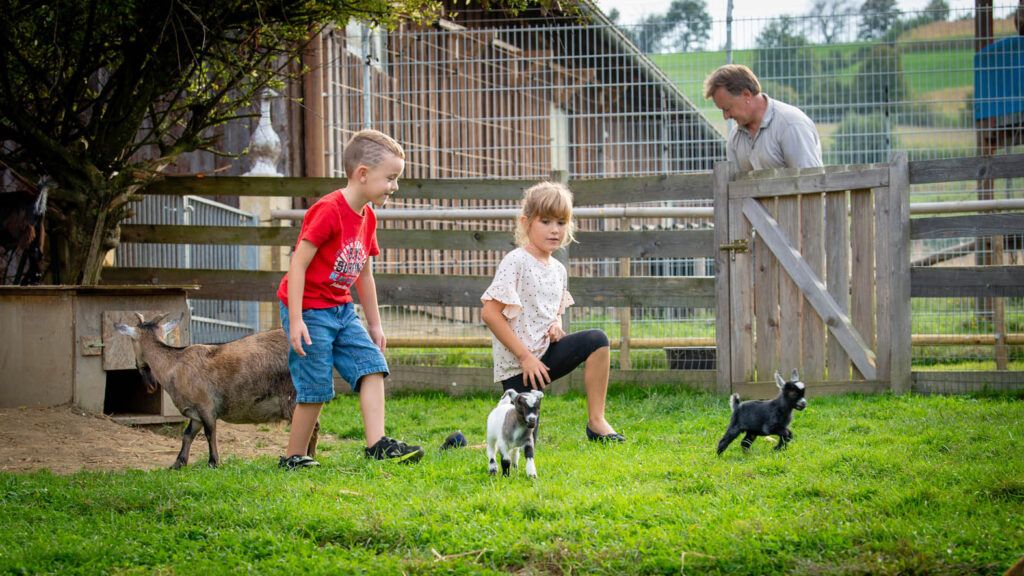Zwei Kinder spielen mit Ziegenbabys auf einem Bauernhof. Ein Mann steht am Zaun.
