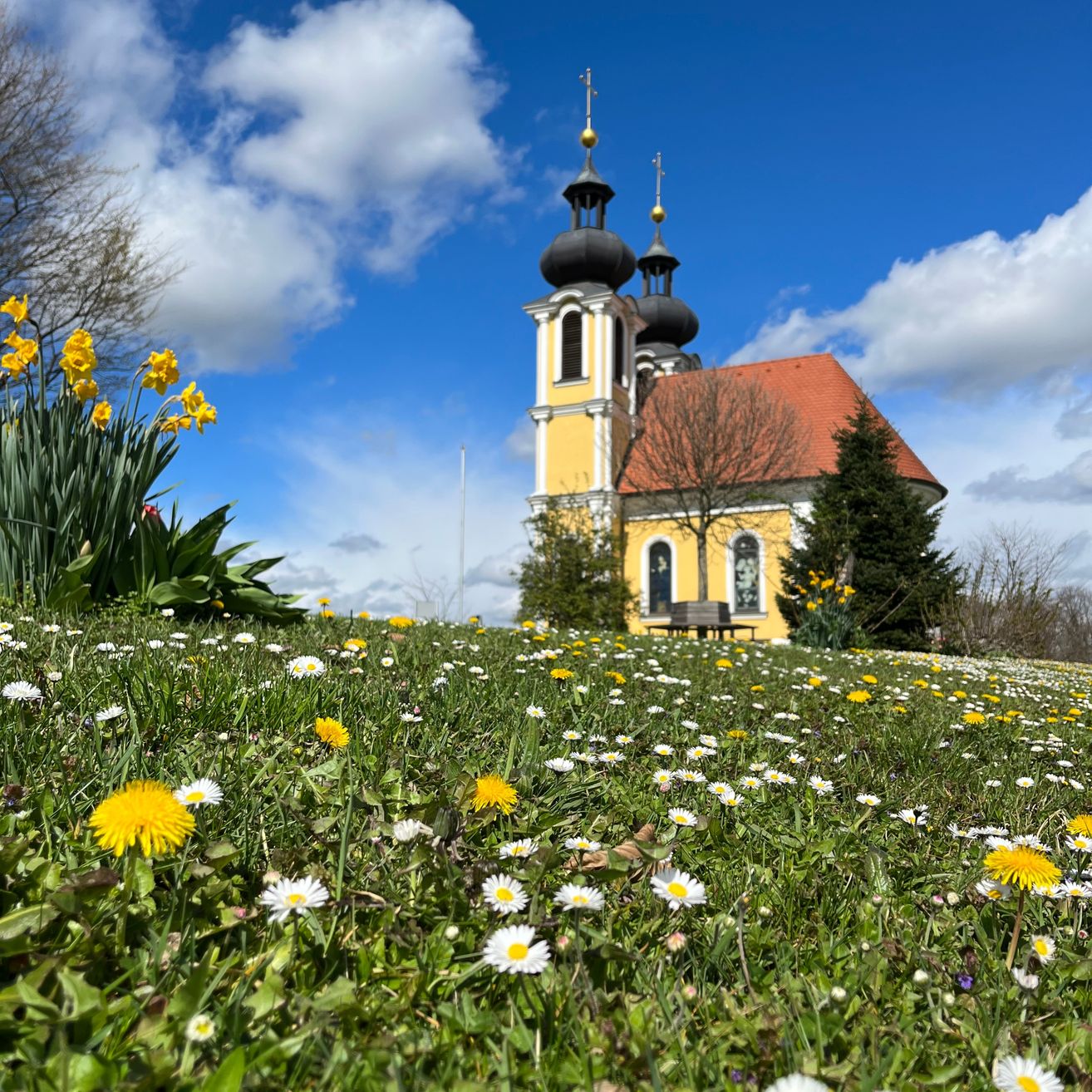 Eine gelbe Kirche mit rotem Dach und zwei Kuppeln steht hinter einem Blumenfeld unter einem blauen Himmel.