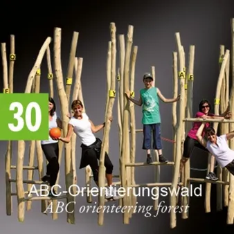 Fünf Frauen klettern eine Holzleiter in einem ABC-Orientierungswald. Die Nummer 30 ist auf einem grünen Hintergrund zu sehen.