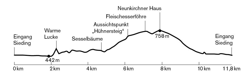 Die Grafik zeigt eine Wanderroute mit verschiedenen Sehenswürdigkeiten wie Neunkirchner Haus, Fleischesserföhre, Aussichtspunkt und Sesselbäume. Sie beginnt bei 442 Metern und endet bei 758 Metern über dem Meeresspiegel.