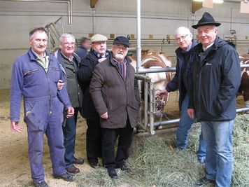 Eine Gruppe von Männern in Winterkleidung steht in einer Scheune mit einer Kuh, einer berührt das Tier, während ein anderer zusieht.