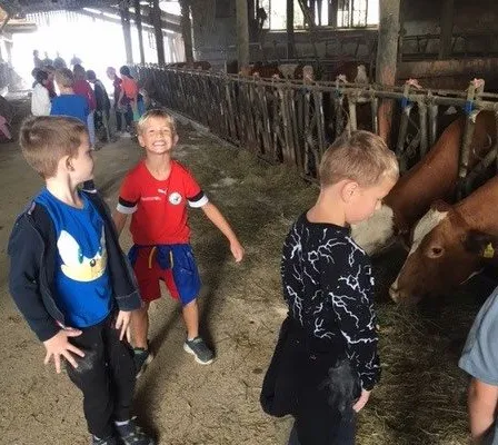 Drei Jungen stehen in einer Scheune mit Kühen, einer lächelt und schaut eine Kuh an, die Heu frisst.