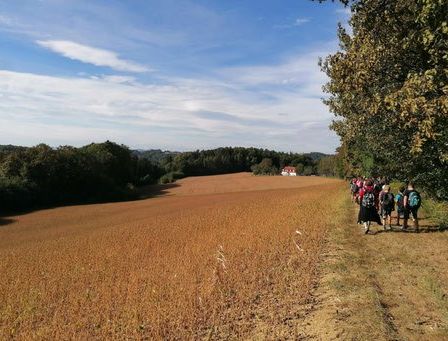 Eine Gruppe von Menschen, die an einem sonnigen Tag mit blauem Himmel und weißen Wolken in einem trockenen Feld mit Bäumen wandert.