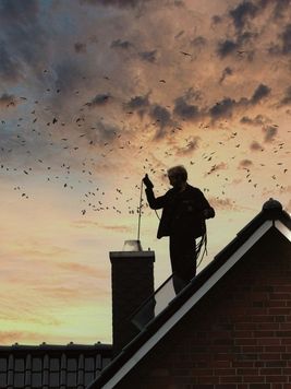 Bild enthält, Outdoors, Shelter, Photography, Nature, Sky, Person, Portrait, Silhouette, Coat, Bird
