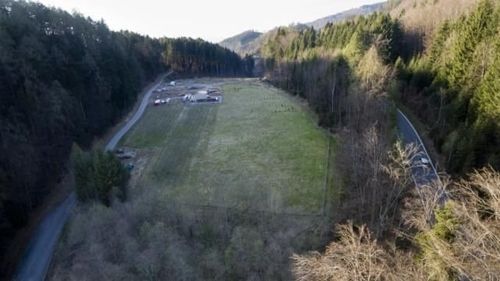 Outdoors, Land, Nature, Plant, Tree, Vegetation, Woodland, Aerial View