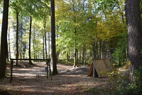 Outdoors, Shelter, Vegetation, Grove, Land, Tree, Woodland, Person, Scenery, Trail