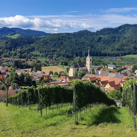 Luftaufnahme eines kleinen Dorfes mit einer Kirche, umgeben von Weinbergen, Bergen und grünen Feldern.