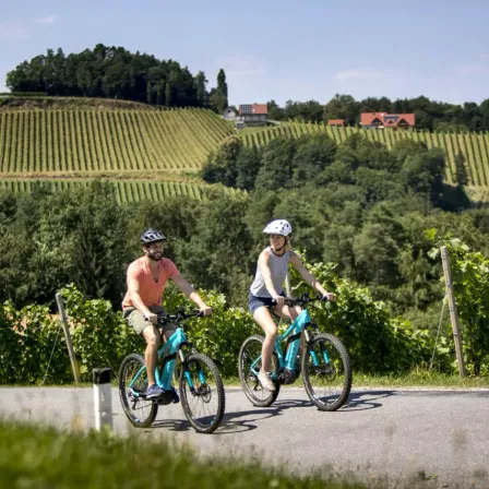 Zwei Personen fahren auf einem Fahrradweg, der von Weinbergen und Grünflächen umgeben ist, mit Häusern in der Ferne.