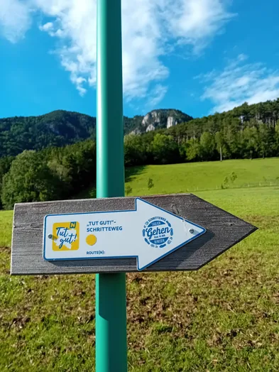 Ein hölzerner Wegweiser mit einem weißen Schild, das nach rechts zeigt. Das Schild zeigt 'Tut gut!' und 'Schritteweg'. Das Schild ist an einem grünen Pfosten in einem Grasfeld befestigt. Im Hintergrund befinden sich Berge und ein klarer blauer Himmel.
