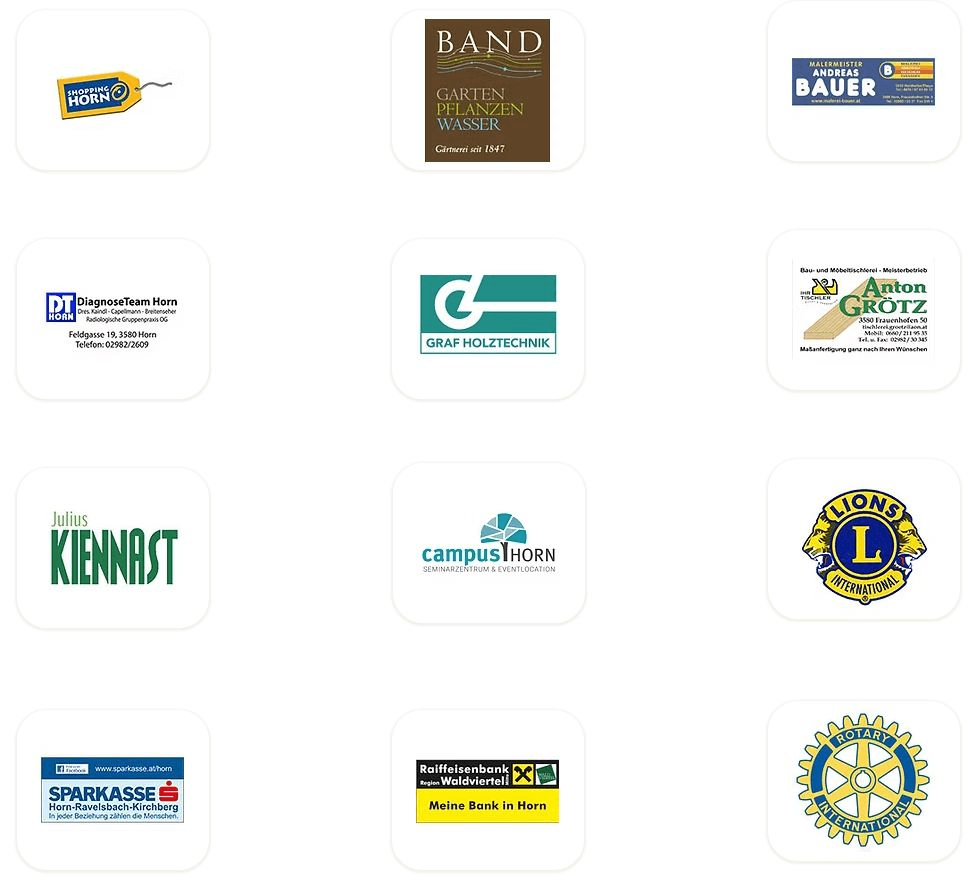 Eine Sammlung von Logos verschiedener Organisationen, darunter Shopping Horn, Band, Anton Grotz, Graf Holztechnik, Julius Kienast, campusHORN, Lions International, Raiffeisenbank und Rotary International.