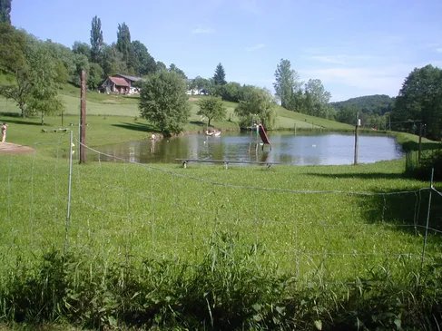 Nature, Outdoors, Pond, Field, Grass, Scenery, Vegetation, Tree, Grassland, Landscape
