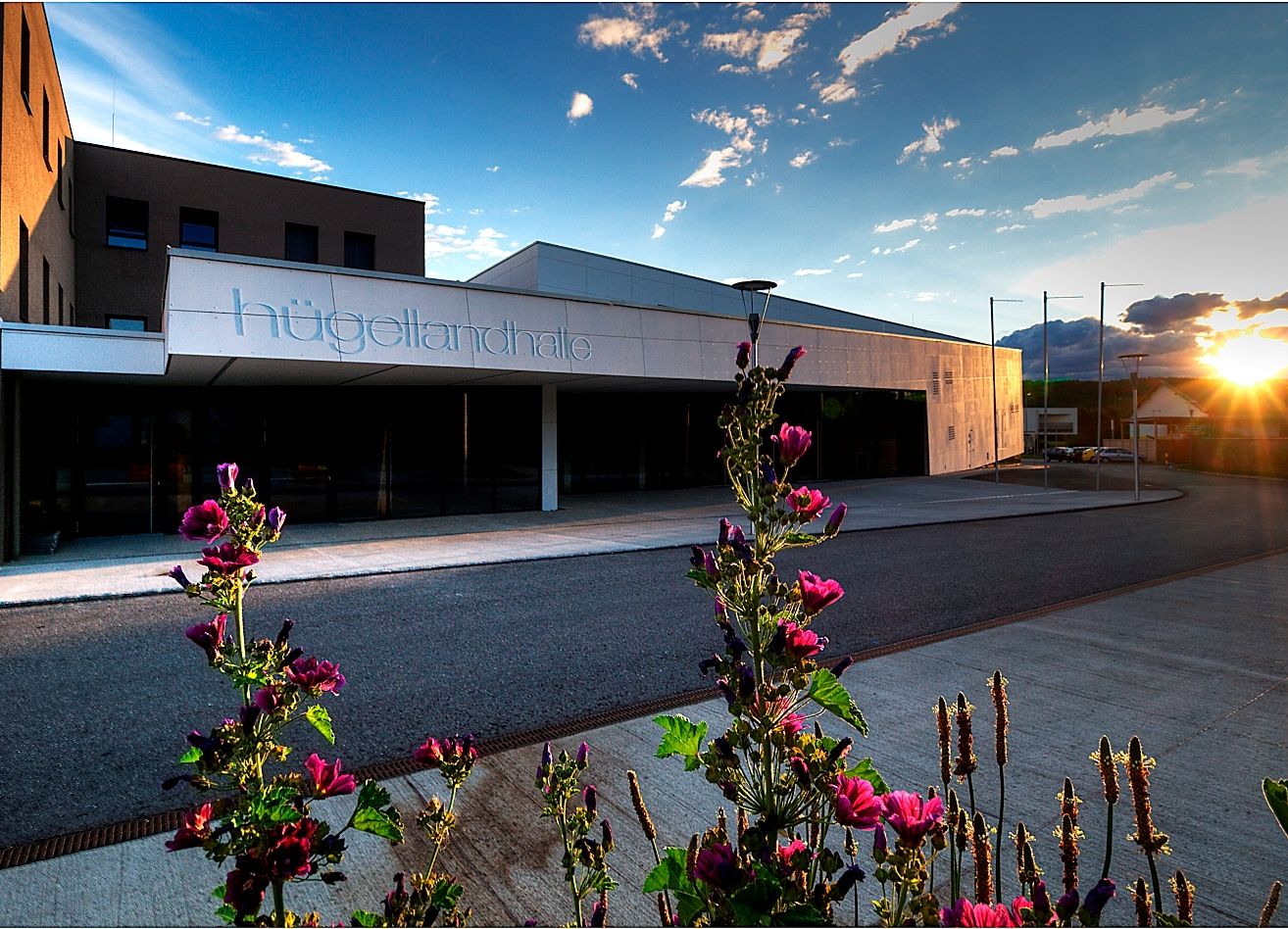 Bild enthält, Flare, Light, Sunlight, Building, Office Building, Flower, Lighting, Geranium, Sky, Tarmac