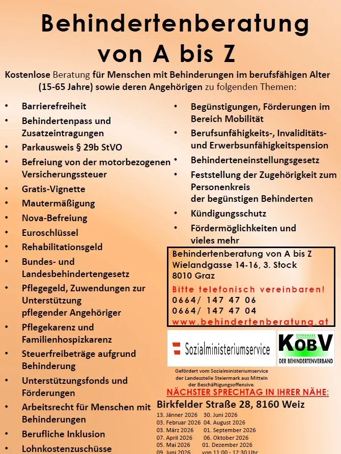 Ein Infografik bietet kostenlose Beratung für Menschen mit Behinderungen im erwerbsfähigen Alter (15-65 Jahre) und deren Angehörige zu Themen wie Barrierefreiheit, Mobilitätshilfen und rechtlichen Schutz. Termine telefonisch vereinbaren.