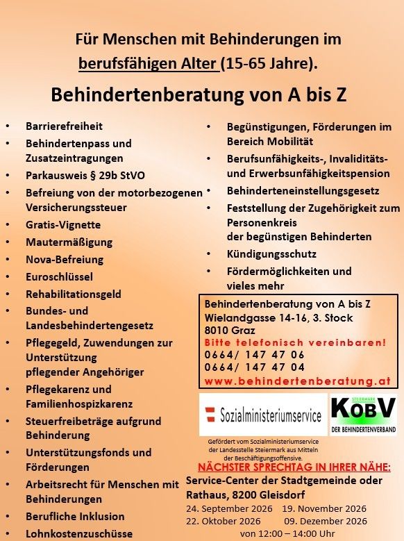 Ein Informationsposter über Dienstleistungen und Vorteile für Menschen mit Behinderungen im Alter von 15-65. Es listet verschiedene Dienstleistungen auf, einschließlich barrierefreiem Zugang, Vorteilen und Unterstützung. Es enthält auch Kontaktdaten für das Servicezentrum.