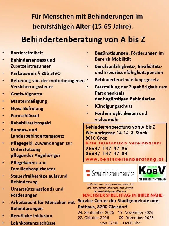 Ein Informationsposter über Dienstleistungen und Vorteile für Menschen mit Behinderungen im Alter von 15-65. Es listet verschiedene Dienstleistungen auf, einschließlich barrierefreiem Zugang, Vorteilen und Unterstützung. Es enthält auch Kontaktdaten für das Servicezentrum.