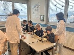 Eine Gruppe von Kindern ist in einem Labor und benutzt Mikroskope auf einem Tisch. Zwei Erwachsene, wahrscheinlich Lehrer, stehen und leiten sie. Der Raum hat große Fenster mit Blick auf eine Stadt oder das Meer.