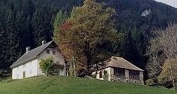 Zwei rustikale Häuser stehen auf einem grün bewachsenen Hügel, mit Bäumen und Bergen im Hintergrund. Ein Haus hat ein graues Dach, das andere ein braunes Dach.