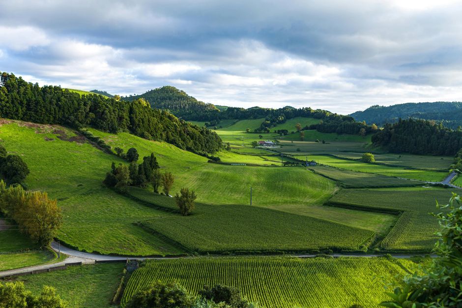 Nature, Outdoors, Scenery, Field, Countryside, Grassland, Grass, Landscape, Rural, Hill