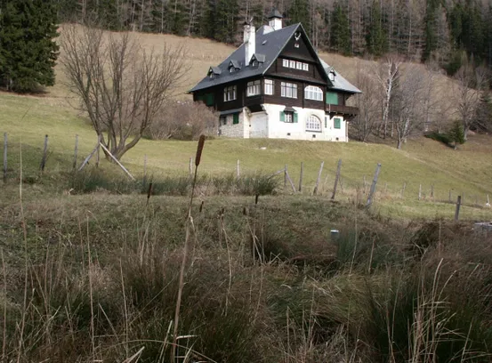 Building, Cottage, Outdoors, Shelter, Grass, Nature, Countryside, Field, Tree, Grassland