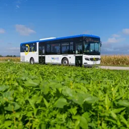 Ein weißer und blauer Bus namens Leo Polidi fährt auf einer Straße, umgeben von grünen Pflanzen. Der Himmel ist blau mit einigen Wolken.
