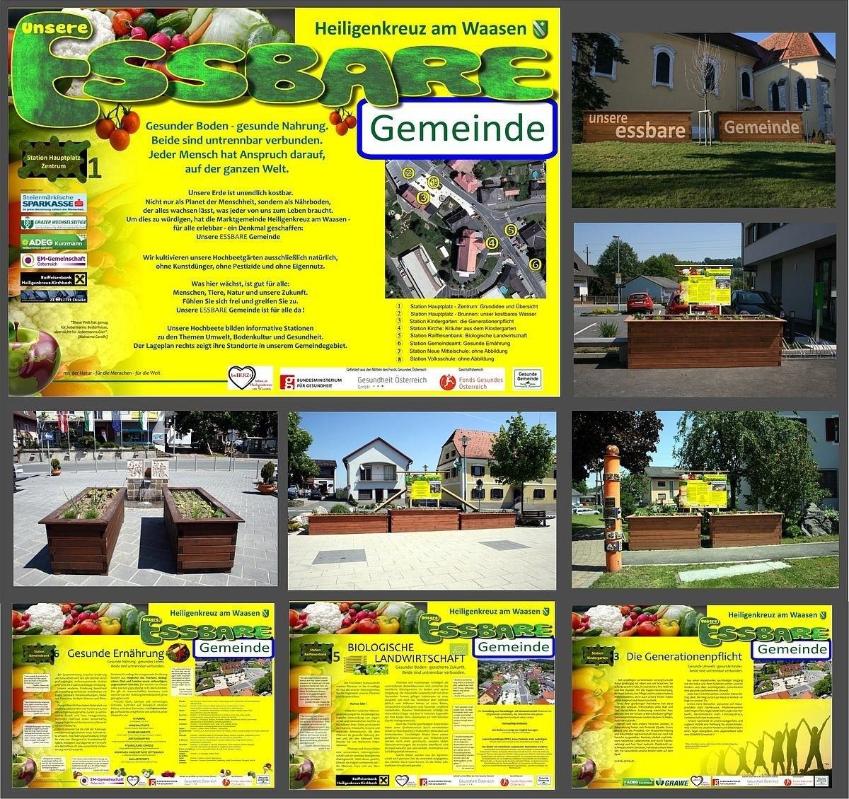 Plakat mit gelbem Hintergrund, das mehrere Bilder von Gartenarbeit und gesunder Ernährung zeigt. Abschnitte umfassen 'Gesunde Ernährung aus unserer Region', 'Biologische Landwirtschaft' und 'Generation Verantwortung'. Enthält auch eine Karte von Heiligenkreuz am Waasen.