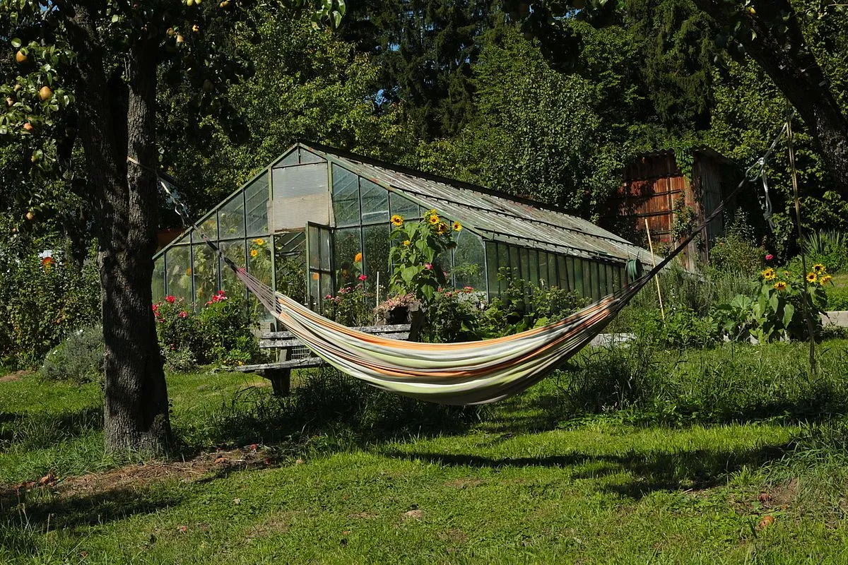 Ein Hängesessel hängt zwischen zwei Bäumen in einem Garten mit einem Gewächshaus, Sonnenblumen und verschiedenen Pflanzen. Das Gewächshaus hat ein Metalldach.