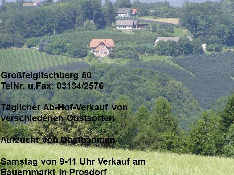 Luftaufnahme einer ländlichen Landschaft mit Häusern, Feldern und Bäumen. Kontaktdaten eines Bauernhofs werden angezeigt. Der Hof verkauft täglich verschiedene Obstsorten. Anbau von Obstbäumen. Samstagsverkauf auf dem Bauernmarkt in Prossdorf von 9-11 Uhr.