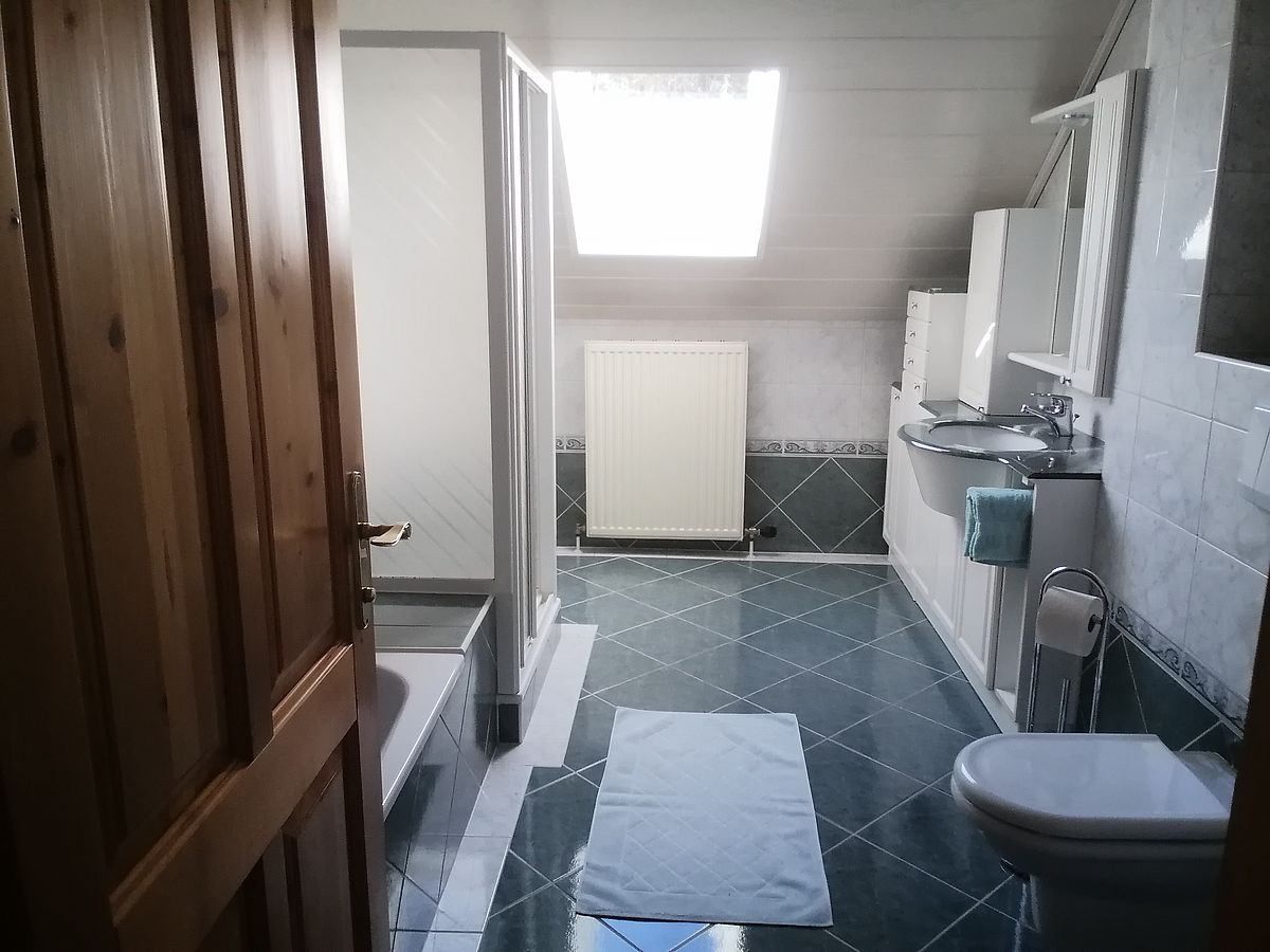 Ein Badezimmer mit Dusche, Badewanne, Toilette, Waschbecken und Heizkörper. Ein Handtuch und eine Toilettenpapierrolle hängen an der Wand.