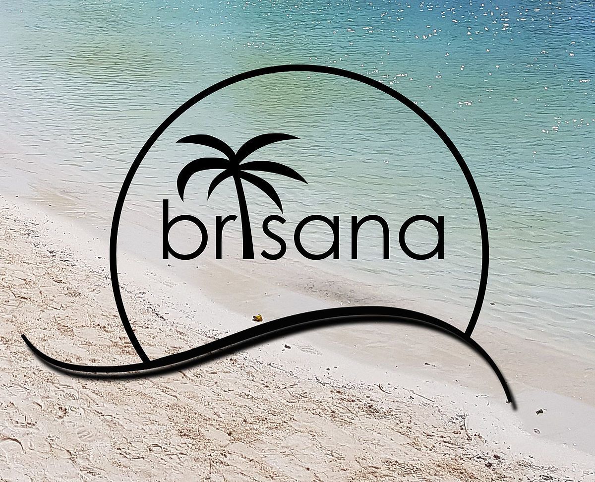 Ein tropisches Logo mit einer Palme in einem Kreis, beschriftet mit 'brisana', über einem Strand mit klarem Wasser.
