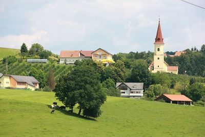 Eine ländliche Landschaft mit einem großen grünen Feld, Häusern und einer Kirche. Das Feld ist mit Bäumen und einigen Kühen gesprenkelt. Die Häuser sind in verschiedenen Farben gestrichen. Die Kirche ist hoch mit einem spitzen Turm.