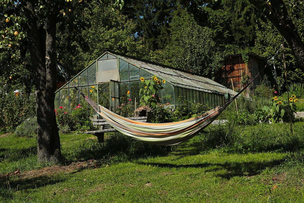 Ein Hängesessel hängt zwischen zwei Bäumen in einem Garten mit einem Gewächshaus, Sonnenblumen und verschiedenen Pflanzen. Das Gewächshaus hat ein Metalldach.