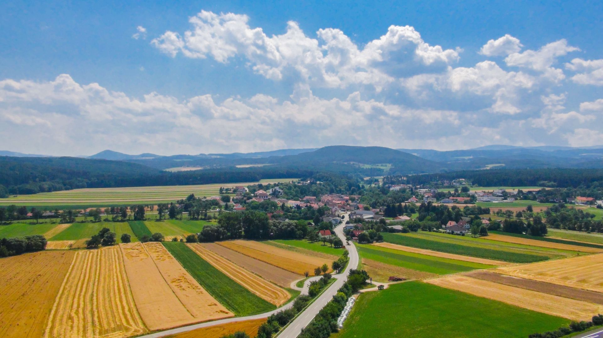 website banner