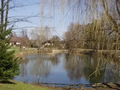 Ein ruhiger Teich ist von Bäumen und Pflanzen umgeben. Das Wasser ist ruhig und spiegelt den Himmel wider. In der Ferne sind Häuser und Gebäude zu sehen.