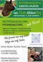 Ein Werbeplakat für Reitpädagogik und Pferdehaltung mit der Heller Blinden Hof Organisation, mit einem Pferd, einer Frau, einer Telefonnummer und einem QR-Code. Kontaktieren Sie Lara Brezovszky unter +43 664 1436255.