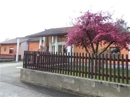 Ein orangefarbenes Haus mit einem Holzzaun und einem rosa blühenden Baum davor. Das Haus hat Glasfenster und ein braunes Dach.