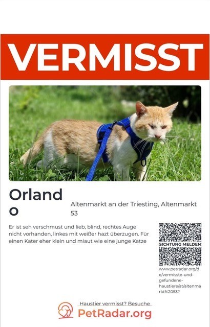 Ein Poster mit einem Bild einer Katze namens Orland, vermisst und blind, mit einem QR-Code für Sichtungsmeldungen.