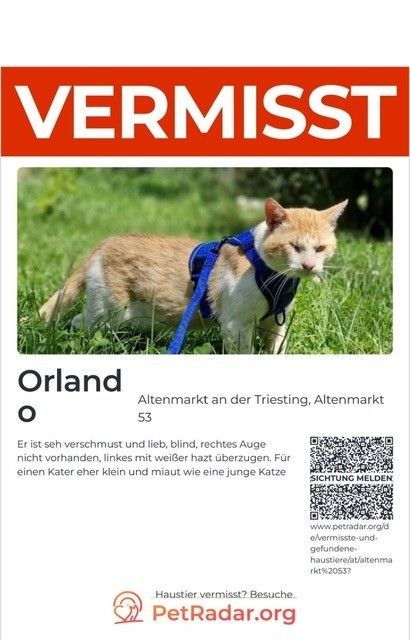 Ein Poster mit einem Bild einer Katze namens Orland, vermisst und blind, mit einem QR-Code für Sichtungsmeldungen.
