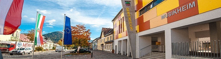 Neighborhood, City, Street, Urban, Flag, Car, Vehicle, Truck, Building, Hotel