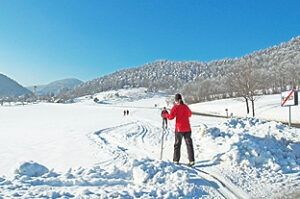Eine Person in einem roten Jackett und Handschuhen treibt Langlauf auf einem verschneiten Pfad, mit entfernten Bergen und Bäumen, die mit Schnee bedeckt sind.
