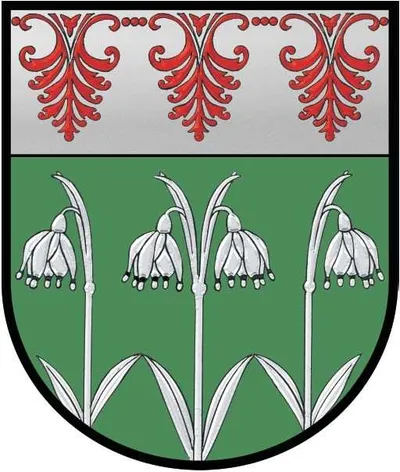 Armor, Pattern, Shield