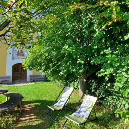 Grass, Villa, Backyard, Nature, Scenery, Vegetation, Park, Chair, Lawn, Tree