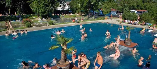 Leisure Activities, Person, Sport, Swimming, Water, Water Sports, Plant, Pool, Swimming Pool, Outdoors