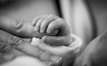Ein Schwarz-Weiß-Bild der Hand eines Neugeborenen, die von einem Erwachsenen gehalten wird. Die Finger des Babys sind um den Finger des Erwachsenen gekrümmt.